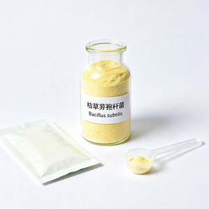 Bacillus Subtilis 100 Mil Millones <span class=keywords><strong>de</strong></span> UFC/g, Enzimas <span class=keywords><strong>de</strong></span> Bajo Olor a Amoníaco, Aditivo para Alimentos, Mejora la Digestión y la Nutrición, Alimento para Aves <span class=keywords><strong>de</strong></span> Corral en Granjas Cerradas - Product Image 4