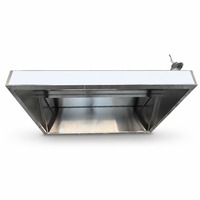 Campana Extractora Comercial de Acero Inoxidable para Cocina, Montaje en Pared, con Filtro de Grasa para Restaurante