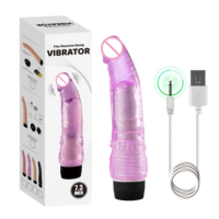 Vibromasseur féminin pas cher, rechargeable par USB, fonctionnant sur piles, avec matériau ABS+TPE, 100% étanche, 19 cm