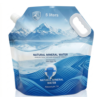 Pochettes pliables personnalisées 1L 5L 10L pour randonnée avec poignée et bec verseur, pour bière, liquides, vodka, eau, en plastique, avec valve papillon