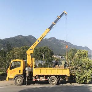 شاحنة لرفع الأدوات الثقيلة للبيع الهند سعر 5 طن crame - Product Image 2