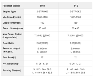 爱奇迪T9.8 9.8马力高性能舷外马达2冲程长轴船发动机待售 - Product Image 4