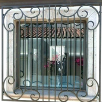 Barras de seguridad decorativas de acero para ventanas, barras de hierro forjado para construcción, OEM