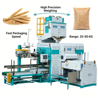 Machine d'emballage et de conditionnement entièrement automatique à haute productivité Ewinall QZB-600M pour sacs tissés doublement enduits de 25-50 kg, pour riz et aliments