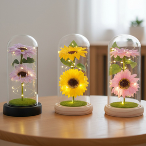 Produit très vendu, cadeau créatif pour la fête des mères, fleur artificielle sous cloche en verre, ornement <span class=keywords><strong>rose</strong></span> lumineux sous cloche, idées <span class=keywords><strong>de</strong></span> cadeaux personnalisés - Product Image 1