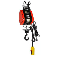 Mini palan électrique à câble 110V/220V/240V, équipement de levage pour la construction, usage domestique et restaurant, 100kg 500kg, télécommande métallique