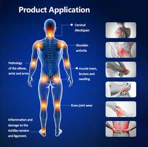 Appareil de magnétothérapie Tecar PEMF 448k à écran tactile de 8 pouces pour la réparation musculaire et le soulagement de la douleur chez les animaux - Product Image 3