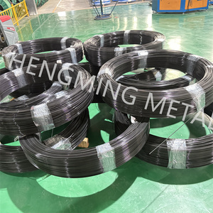 Хорошая цена холоднокатаная высокоуглеродистая стальная проволока SAE 1008 1006 металлическая проволока из углеродистой стали - Product Image 2