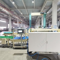 Ligne de palettisation automatique Palettiseur robot de carton de sac de 25kg Palettiseur automatique