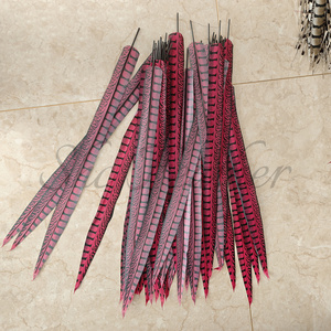 Plumes de faisan artificielles teintes bon marché Lady Amherst Plumas de plumes de queue de faisan pour la décoration de costumes de carnaval - Product Image 6