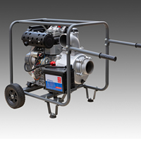 Ensemble de pompe à eau diesel portable à un cylindre de 12 CV, refroidi par air, 195FE, pour l'irrigation agricole, avec démarrage électrique