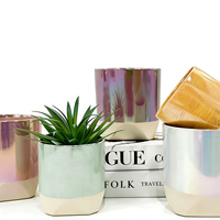 Ventes en gros de pots à succulentes en céramique avec finition chromée irisée - Pots émaillés holographiques pour la décoration intérieure de bureau, de maison et de jardin