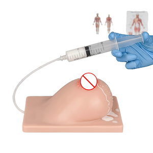 Maniquí de Seno Lactante de Silicona para Demostraciones en Clases de Ginecología <span class=keywords><strong>y</strong></span> <span class=keywords><strong>Obstetricia</strong></span> por Médicos <span class=keywords><strong>y</strong></span> Enfermeras - Product Image 1