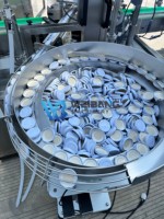 Hoogprecisie drankenafvul- en verpakkingsmachine voor natuurlijk hibiscus-, baobab-, fruit-, gember- en citroensap