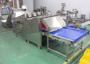Machine à couper les carottes, <span class=keywords><strong>prix</strong></span> direct usine, 9600 pièces/heure - Product Image 2