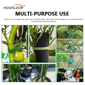 Bán Sỉ 50 cái 8 inch màu xanh lá cây móc & vòng lặp nhà máy quan hệ cáp đa chức năng Nylon quan hệ có thể điều chỉnh để hỗ trợ các nhà máy & dây leo - Product Image 2