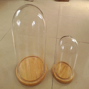 Cloche en verre anti-poussière <span class=keywords><strong>pour</strong></span> la vie éternelle couvercle en verre avec lampe Dôme d'affichage avec socle en bois - Product Image 6