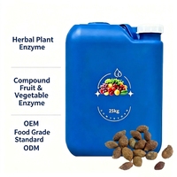Enzyme Liquide Fermentée de Graine de Sterculia pour Bateaux - Matière Première Liquide de Sterculia Lychnophora de Haute Pureté, Grossiste B2B Fût de 25 kg