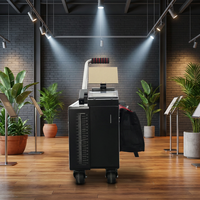 Máquina Láser Industrial de 300W para Eliminar Óxido, Removedor de Capas de Pintura, Dispositivo para Limpiar Madera, Roca, Hormigón y Paredes