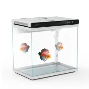 Großhandel Haustier bedarf Tank Fisch Aquarium Zier landschaft Ultra-weiß Big oder Small Glass Aquarium Aquarium