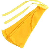 Filles Femmes Sheer Wrap Jupe Ballet Jupe Belly Dance Wrap Jupe Chiffon Ballet Dancewear