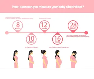 Portable Fetal Heartbeat Monitor Ultrasound Fetal Doppler Heartbeat For Pregnant Women