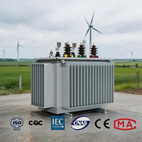 Transformateur de puissance immergé dans l'huile 11 kV 315 kVA à noyau de cuivre S13 pour réseau urbain