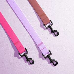 Collar impermeable, collar de perro ajustable para mascotas, correa, collar de perro ligero - Product Image 5