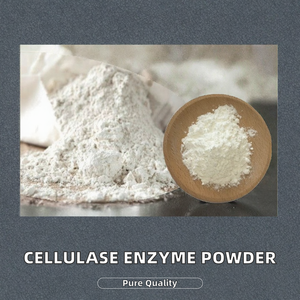 Polvo de Enzima Celulasa de Alta Calidad al por Mayor, 99% de Pureza, 1 kg - Product Image 2