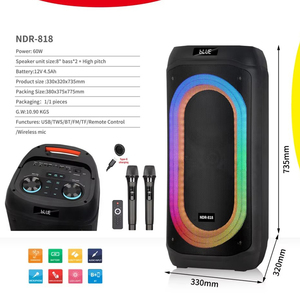 Enceinte de sol Bluetooth double 8 pouces haute puissance NDR-818 pour home cinéma, salon, TV, karaoké et soirées - Product Image 4