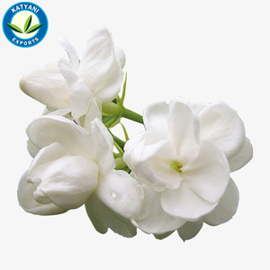Jasmin Parfums pour Shampoings - Product Image 3