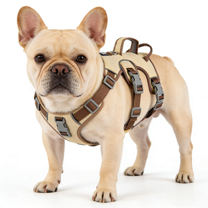 Rompi <span class=keywords><strong>Harness</strong></span> Hewan Peliharaan Gaya Kartun YG-888 dengan Dekorasi Rivet dan Renda - Product Image 6