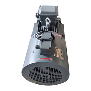 มอเตอร์ไฟฟ้ากระแสสลับแบบอะซิงโครนัสสามเฟส Beide1TL0003 2.2KW~200KW 750 รอบต่อนาที พร้อมตัวเข้ารหัส IMB3 400V 50HZ IC416 - Product Image 2