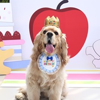 Ensemble Chapeau Couronne d'Anniversaire et Bavoir Brodé avec Nœud pour Animaux de Compagnie (Chiens et Chats) – Décoration de Fête