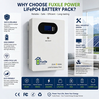 Système d'alimentation de secours solaire hors réseau pour la maison, batterie au lithium fer phosphate 25,6 V 100 Ah à montage mural, stockage d'énergie LiFePO4 2560 Wh