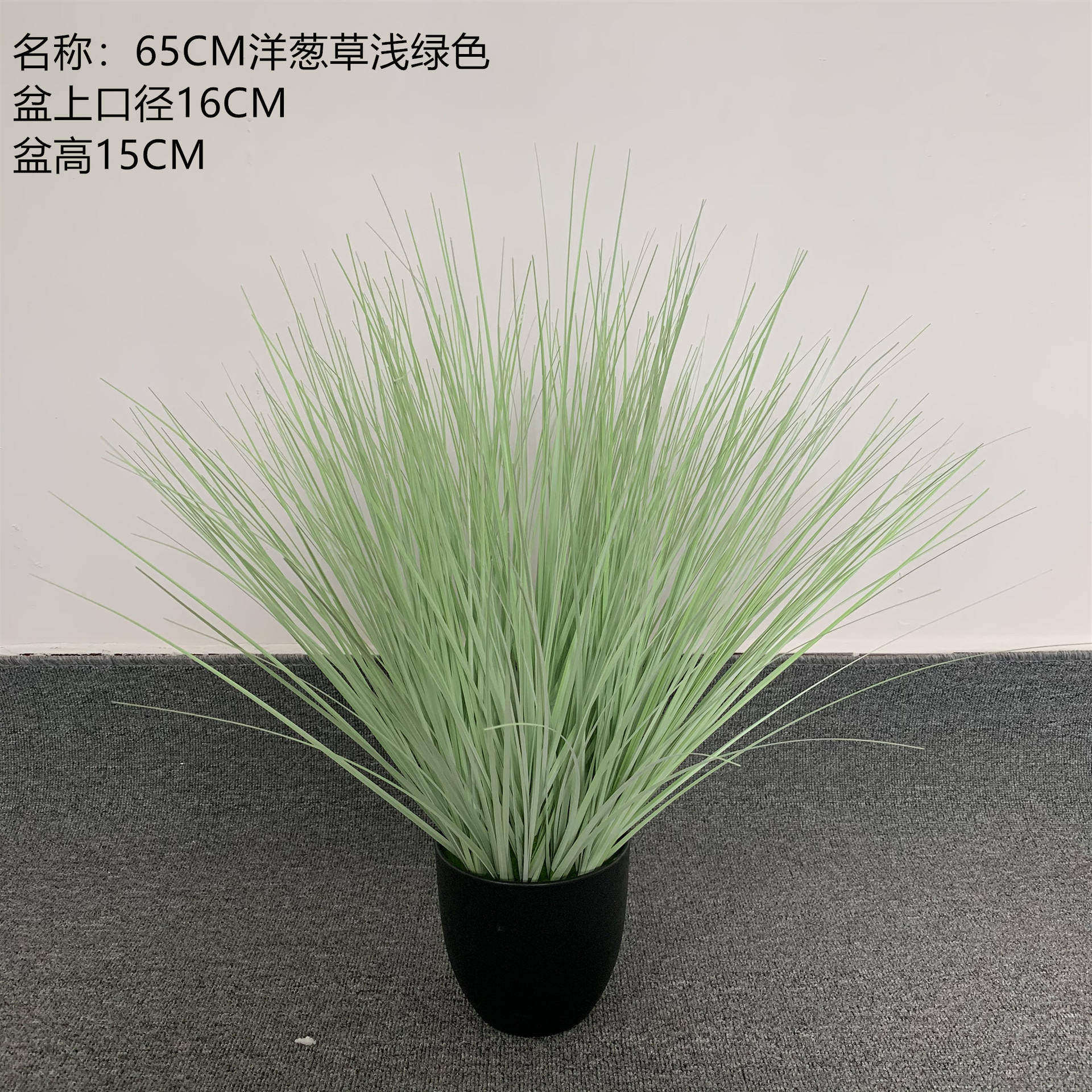 65CM oignon herbe vert clair