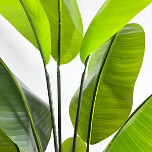 Albero di Banano Artificiale Realistico 180cm, Pianta Bonsai Finta di Banano del Viaggiatore per Decorazione Interna Casa e Ufficio - Product Image 3