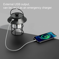 Lanterne de camping LED portable 5000mAh, batterie de secours d'urgence, lumière stroboscopique rouge SOS, double source lumineuse, température de couleur réglable