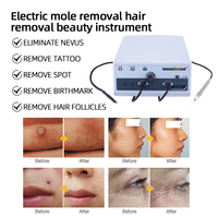 Alat Penghilang Bulu Elektronik Elektrolisis Permanen untuk Wajah, Lengan, Ketiak, Bikini, Kaki, Tubuh, Salon Kecantikan 30W Dual