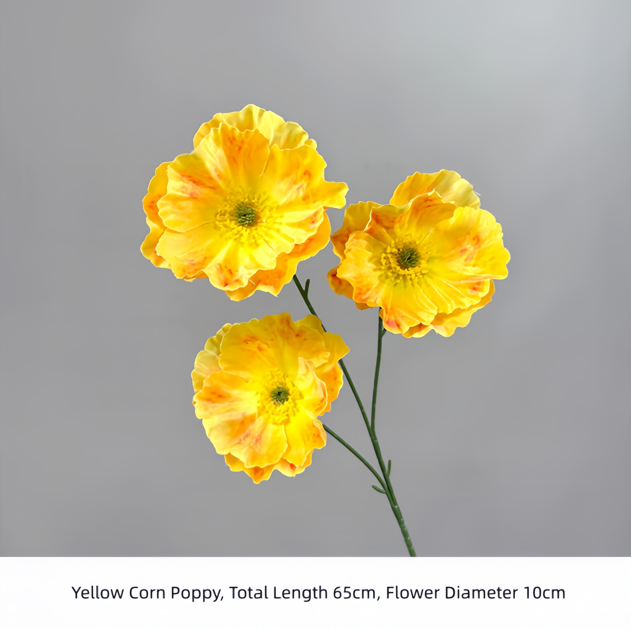 Yellow Corn Poppy