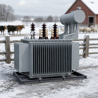 Transformateur de distribution immergé dans l'huile triphasé S20 de 630 kVA, trois enroulements, 50 Hz/60 Hz, pour usage agricole