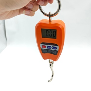 Balance numérique électronique intelligente en acier inoxydable 200 kg 50 g avec crochet <span class=keywords><strong>de</strong></span> suspension, affichage LCD LED, ODM - Product Image 1