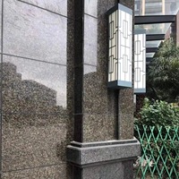Dalles de granit Ubatuba de qualité supérieure, flammées/broyées à la marteau, coupées sur mesure, pour design extérieur personnalisé, escaliers, vente en gros directe d'usine