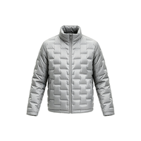 Blouson matelassé pour homme, fermeture éclair, col montant, gris argenté, léger, chaud pour l'hiver, logo personnalisé, OEM, vente en gros
