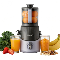 Extracteur de jus à froid électrique 350W, presse-agrumes lent, 2,5L, grande goulotte d'alimentation, contrôle par bouton, rendement élevé en jus, auto-inversion, RV