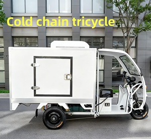 Tricycles électriques Tricycle à 3 roues pour chambre froide Tricycles motorisés avec chambre froide Tricycle pour chambre froide - Product Image 1