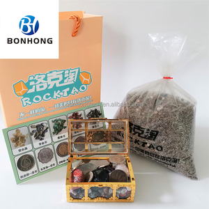 Équipement de zone de jeux intérieure pour enfants Bonghong, qui permet aux enfants de profiter du plaisir du jeu dans le sable et de la chasse au trésor. - Product Image 5