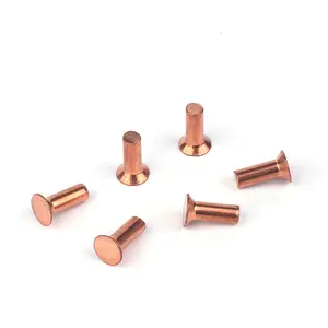 M6 M8 M10 Professional Copper Brass Solid Rivet Countersunk Head Solid Rivets