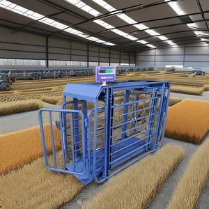 Anpassbare Elektronische Viehwaage für Rinder, Kühe, Schweine, Schafe, Ziegen Wiegeplattform für Landwirtschaft - 1 Tonne 2 Tonnen 5 Tonnen ODM OEM Unterstützt - Product Image 6