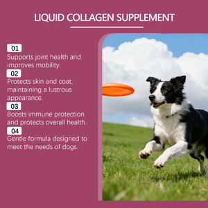 Collagène liquide pour chien en vrac 60 ml, vitamine C, acide hyaluronique, brillance du pelage, soutien articulaire et osseux, complément alimentaire, vente en gros directe d'usine - Product Image 4